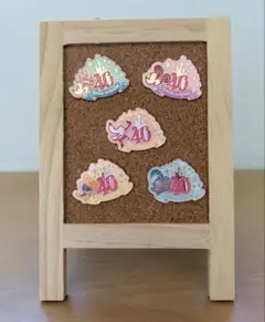 ディズニー40周年　ピンバッジ　5種コンプ