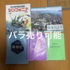 世界史受験勉強セット