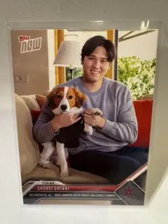 限定発売完売品】Topps now 大谷翔平 MVP カード 愛犬ツーショット
