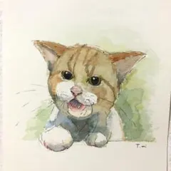 色鉛筆画(ハガキサイズ)「…おやつ…まだかニャ？」猫・子猫♡ | Mercari