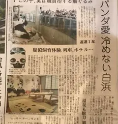 パンダ アドベンチャーワールド　2026/6/27 読売新聞　新聞のサムネイル