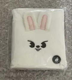 straykids リービット フォトカードケース