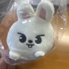 SKZOO バッグチャーム Leebit