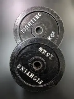ファイティングロード 15kg×2枚 セット① - メルカリ