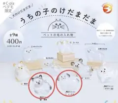 うちの子のけだまだま　犬のけだまだま　黒柴　ミックス