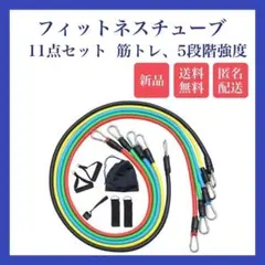 フィットネスチューブ 筋トレ 11点セット 5段階強度 新品 送料無料 匿名配送