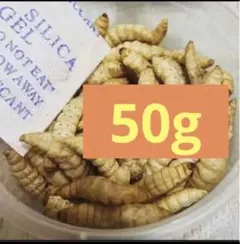 限定価格WILD HONEY 300g ワイルドハニーネパール産 - メルカリ