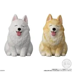 もっちりころりん おいぬ にっこりサモエドのサムネイル
