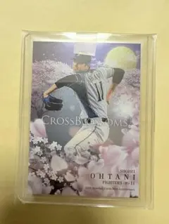 BBM30周年記念　大谷翔平CROSSBLOSSOMS レアカード　野球カード