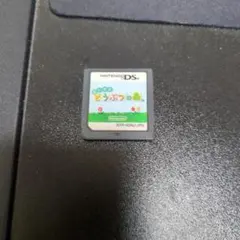 どうぶつの森 Nintendo DS