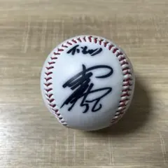 東京ヤクルトスワローズ 並木秀尊選手 直筆サインボール - メルカリ
