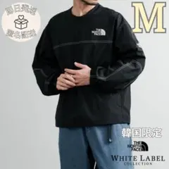 【日本未入荷】残り1点 THE NORTH FACE ALBANY 正規品 M