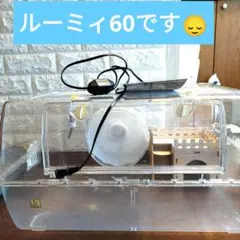 よし様専用ハムスターケージ　ルーミィ60