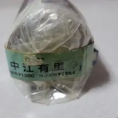 2026 長谷川昭雄 美山有 カレンダーAH - メルカリ