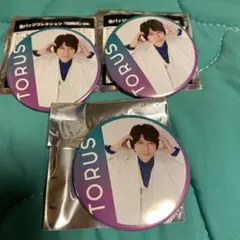 羽多野渉「TORUS 」ver. 缶バッジ 3個セット