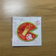 TWICE チェヨン ワッペン