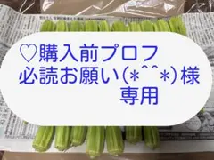 ♡購入前プロフ必読お願い(*^^*) 様専用