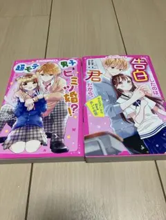 超モテ男子とヒミツ婚☆告白したのは君だから☆2冊セット☆野いちごジュニア文庫