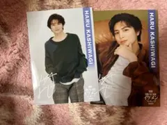 ViVi国宝級イケメンランキング2023  柏木悠　ブロマイド D-7