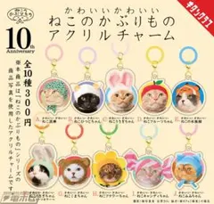 【送料無料】かわいい かわいい ねこのかぶりもの アクリルチャーム コンプリート