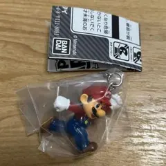 【マリオ】めじるしアクセサリー2