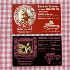 Tommy heavenly/February プロモカード　２枚　川瀬智子