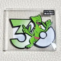 中国限定 ポケモン 30周年 草タイプ マグネット ジュカイン