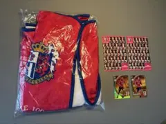 セレッソ大阪 熱狂開幕ブランケット カード付き（ルーカス、中島元彦）