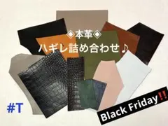 期間限定✧本革‼️多種多彩✨ハギレ詰め合わせ #T