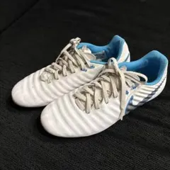 Item thumbnail for item b881286f-9bdb-45fa-80ca-8bc01008c1c4