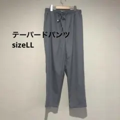 テーパードパンツ　ウォッシャブル　size L L ブルーグレー