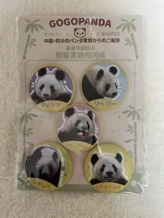 上野動物園　ジャイアントパンダファミリー バッジ 5個セット
