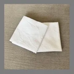 Item thumbnail for item f1a40c41-e8e6-4221-a06b-60a20c915db9