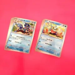 ゲコガシラ・クロマツ・計12枚セット