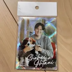 大谷翔平選手withデコピンShohei Ohtani ステッカー
