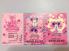 ディズニー パルパルーザ ミニー ミニパル リゾラ フリーきっぷ 3点セット