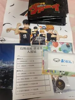 ハイキューファンパーク　入場者特典