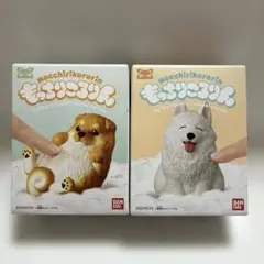 もっちりころりん おいぬ ころころ豆柴 茶 にっこりサモエド ホワイトのサムネイル