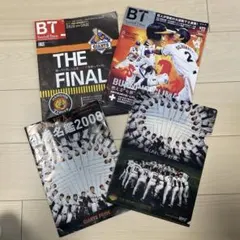 Item thumbnail for item 24bec36a-1240-4841-931a-0f6b248a0f54