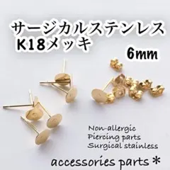 ピアスポスト6mmサージカルステンレスK18