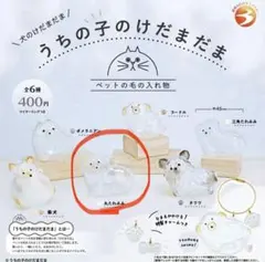 うちの子のけだまだま　犬　三角たれみみ