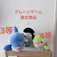須磨シーワールド　KOBE SUMA SEA WORLD シャチぬいぐるみ