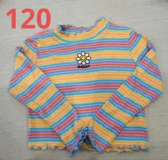 しまむら マイリトルワンダー 長袖Tシャツ 120 メロウ ボーダー