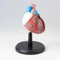 Item thumbnail for item 3489a890-259d-47dd-a219-aa88de37e115