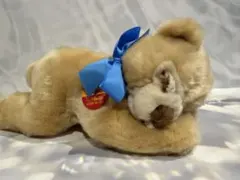 Steiff シュタイフ ぬいぐるみ クマのサムネイル