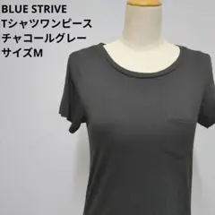 BLUE STRIVE Tシャツワンピース M チャコールグレー 半袖