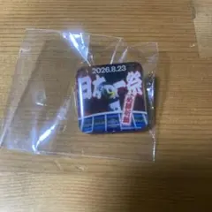千葉ロッテマリーンズ　ピンバッチ