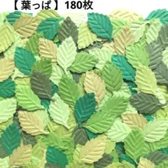 【葉っぱ】エンボス クラフトパンチ 6色 180枚 リーフ 若葉 青葉 緑 葉のサムネイル