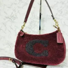 ★ COACH コーチ ボア２WAYショルダーバッグ　テリ アクセサリーポーチ