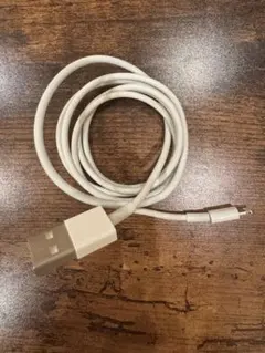 Apple純正品Lightningケーブル